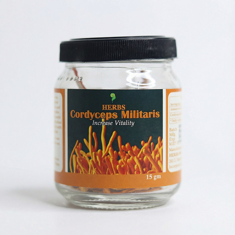 HERBS Cordyceps Militaris