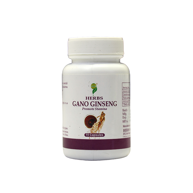 Herbs Gano Ginseng