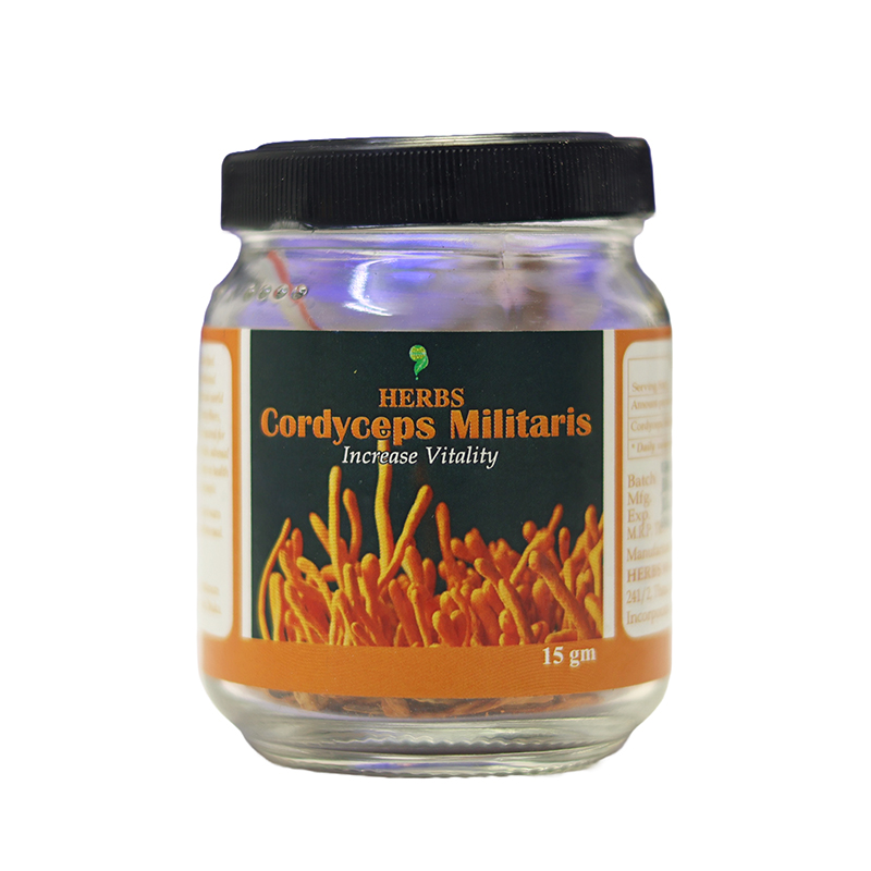 HERBS Cordyceps Militaris
